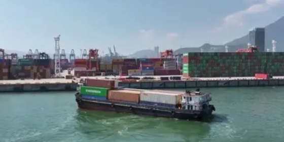 国内海运，内贸集装箱海运收费全解析！